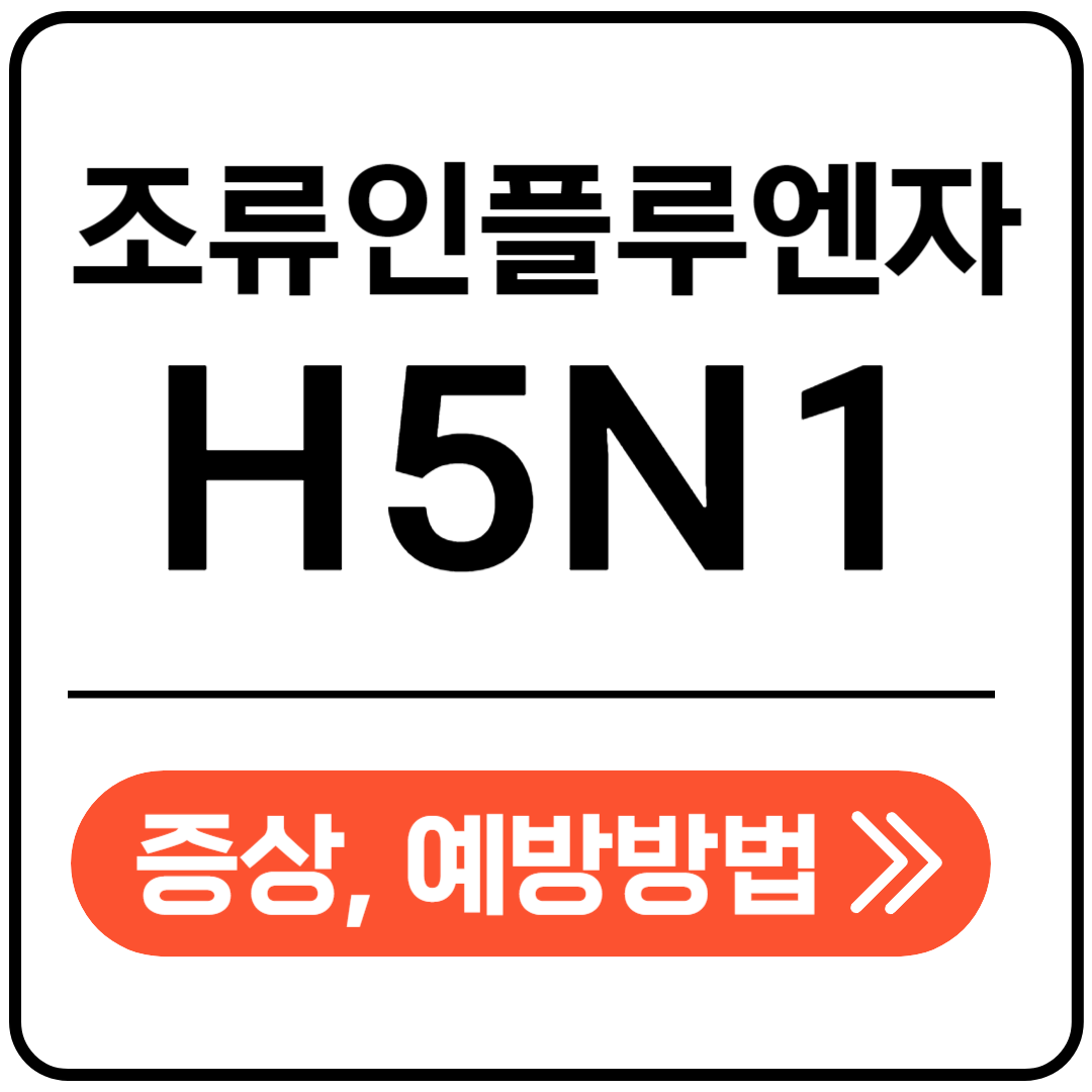 H5N1 포스팅표지