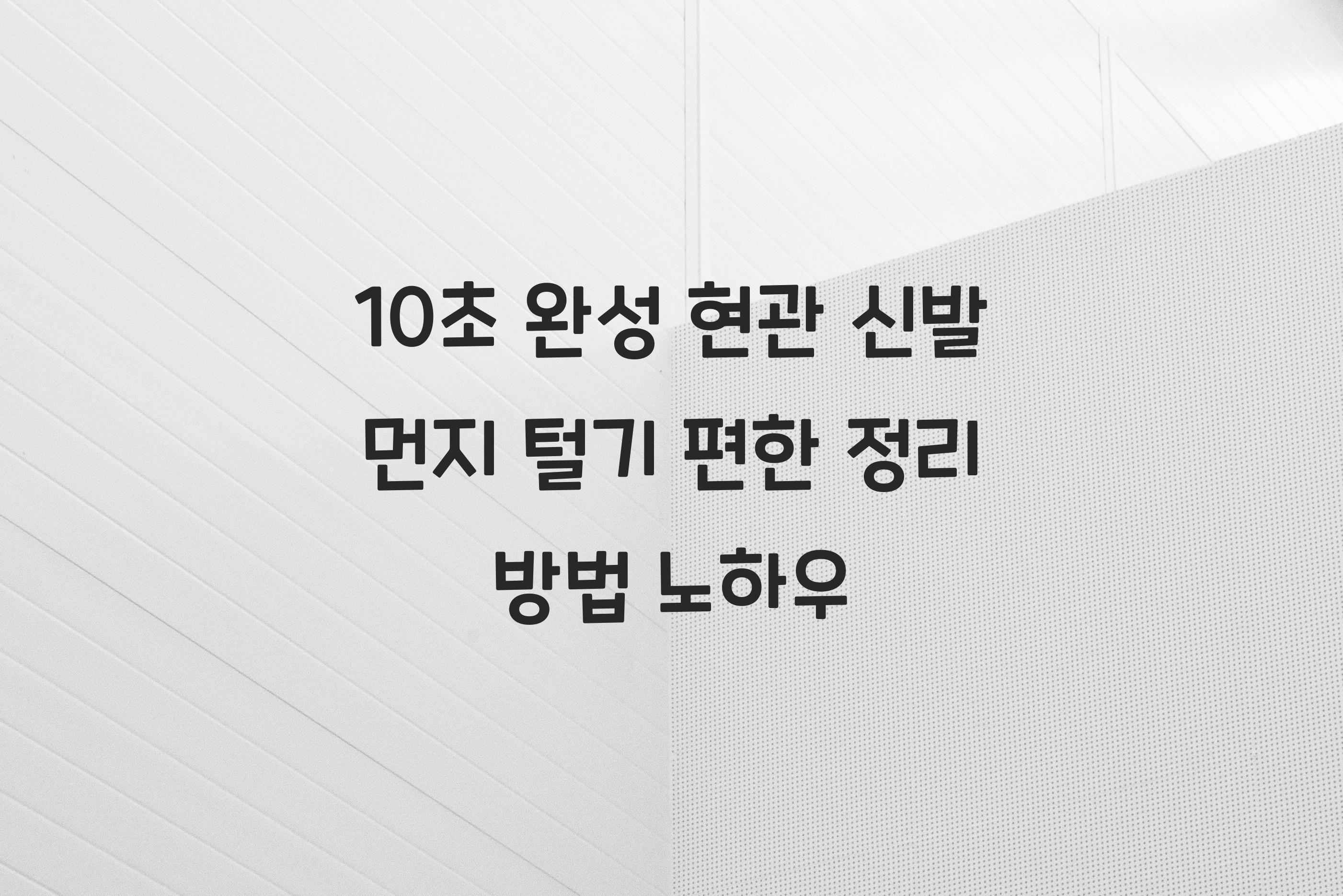 현관 신발 먼지 털기 편한 정리 방법
