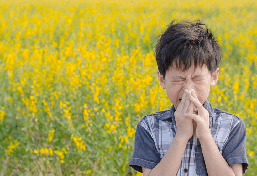 꽃가루 알레르기 치료법