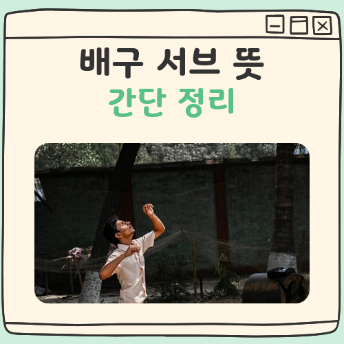 배구 서브 뜻 대표 이미지