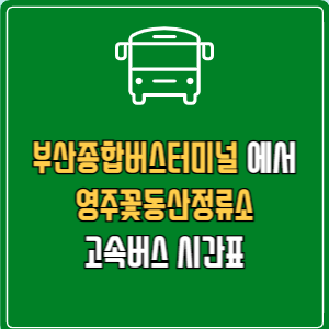 부산종합버스터미널에서 영주꽃동산정류소 고속버스 시간표 요금 예매