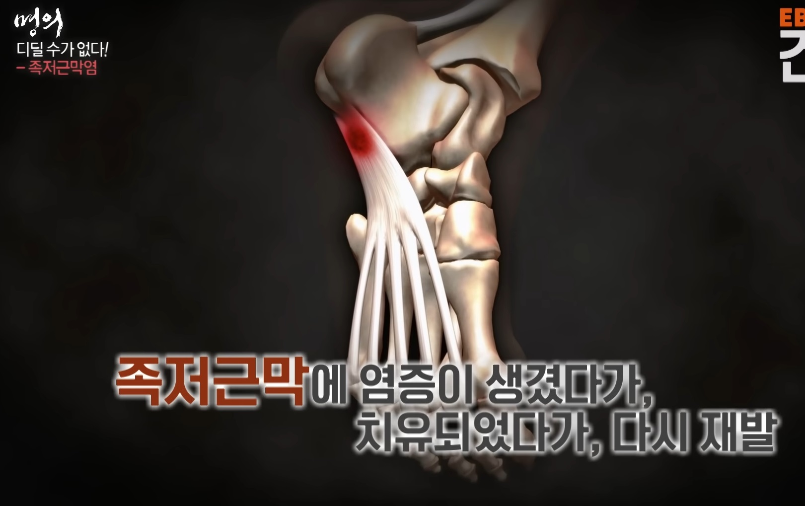 명의-최기원-교수