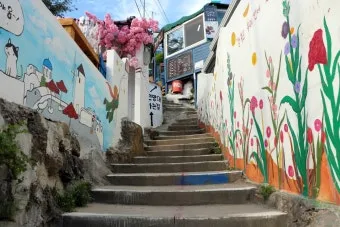 통영 동피랑 벽화마을 관람 팁과 인생샷 포인트 소개_13