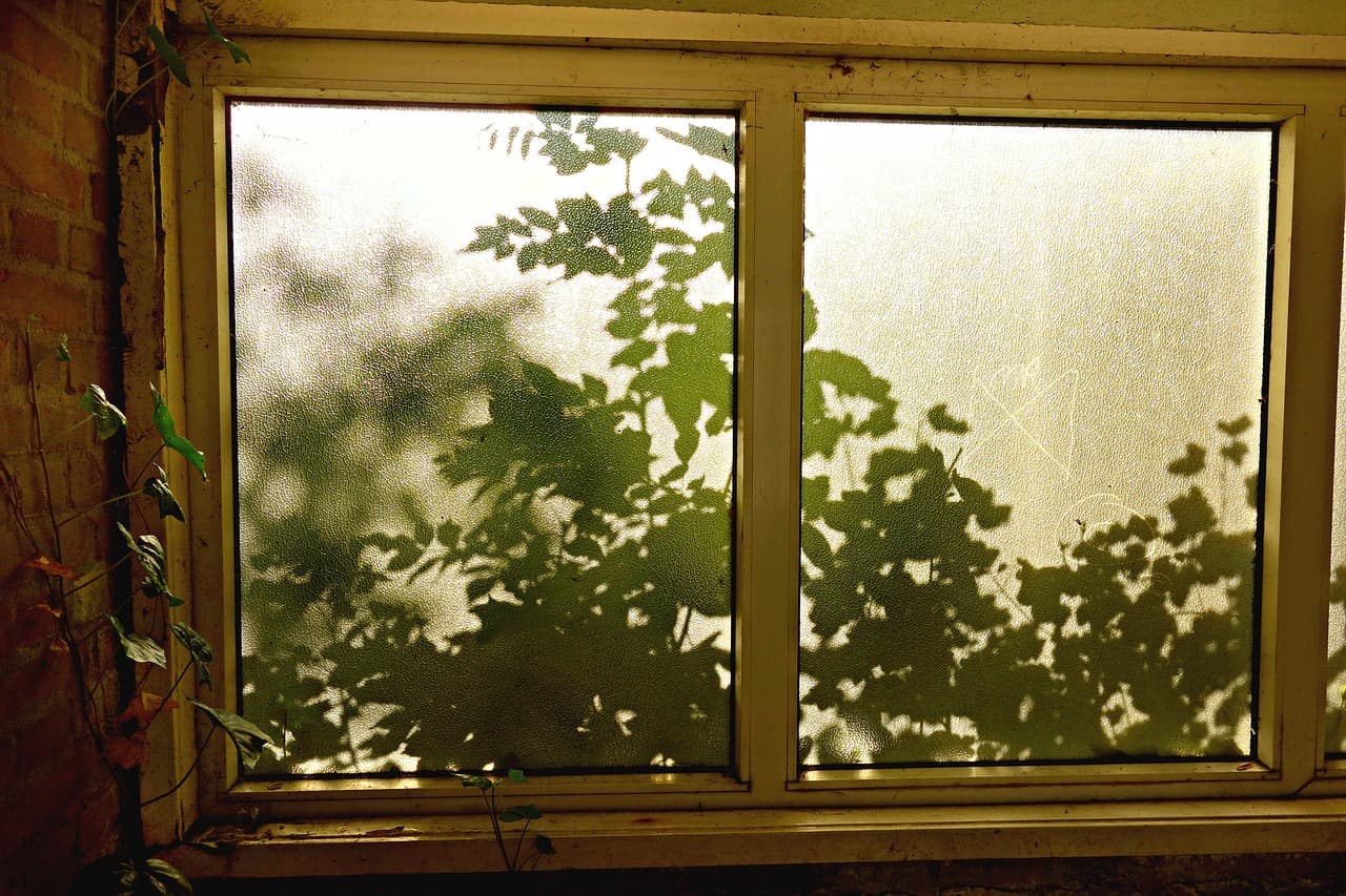 환경심리 시각피로