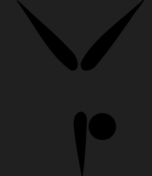 올림픽 체조 선수