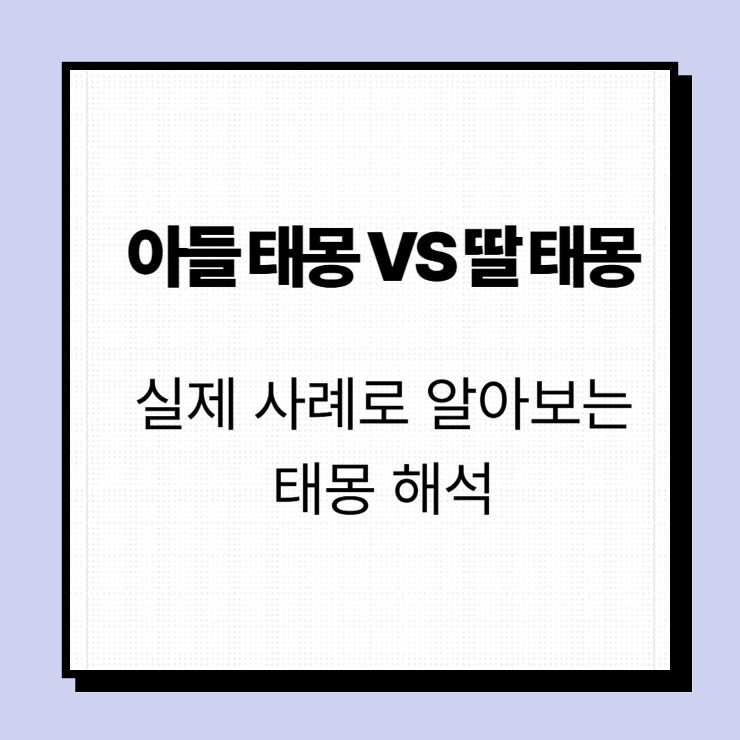아들태몽 VS 딸 태몽
