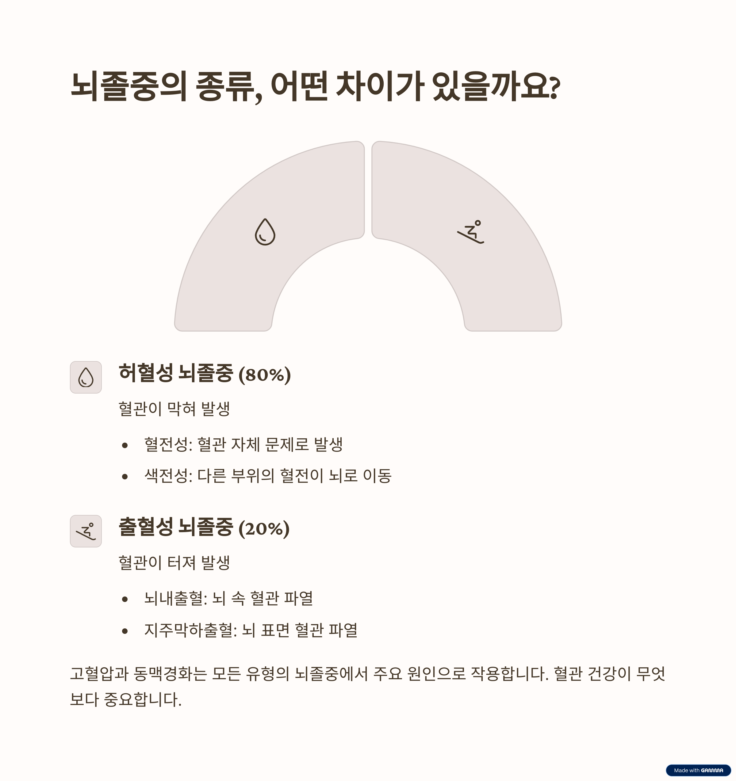 뇌졸중의 종류와 원인