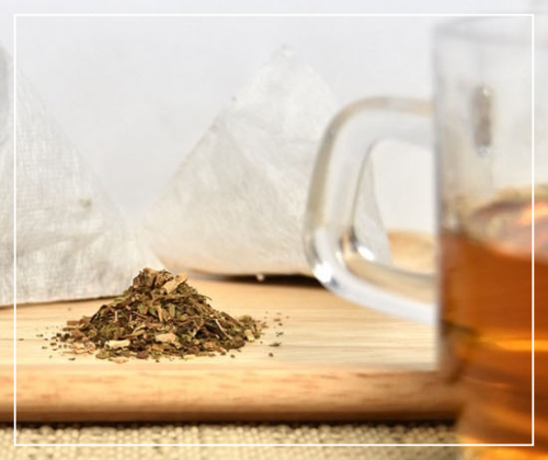 곰보배추 엑기스 섭취 팁