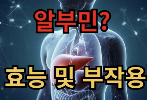 알부민의 효능