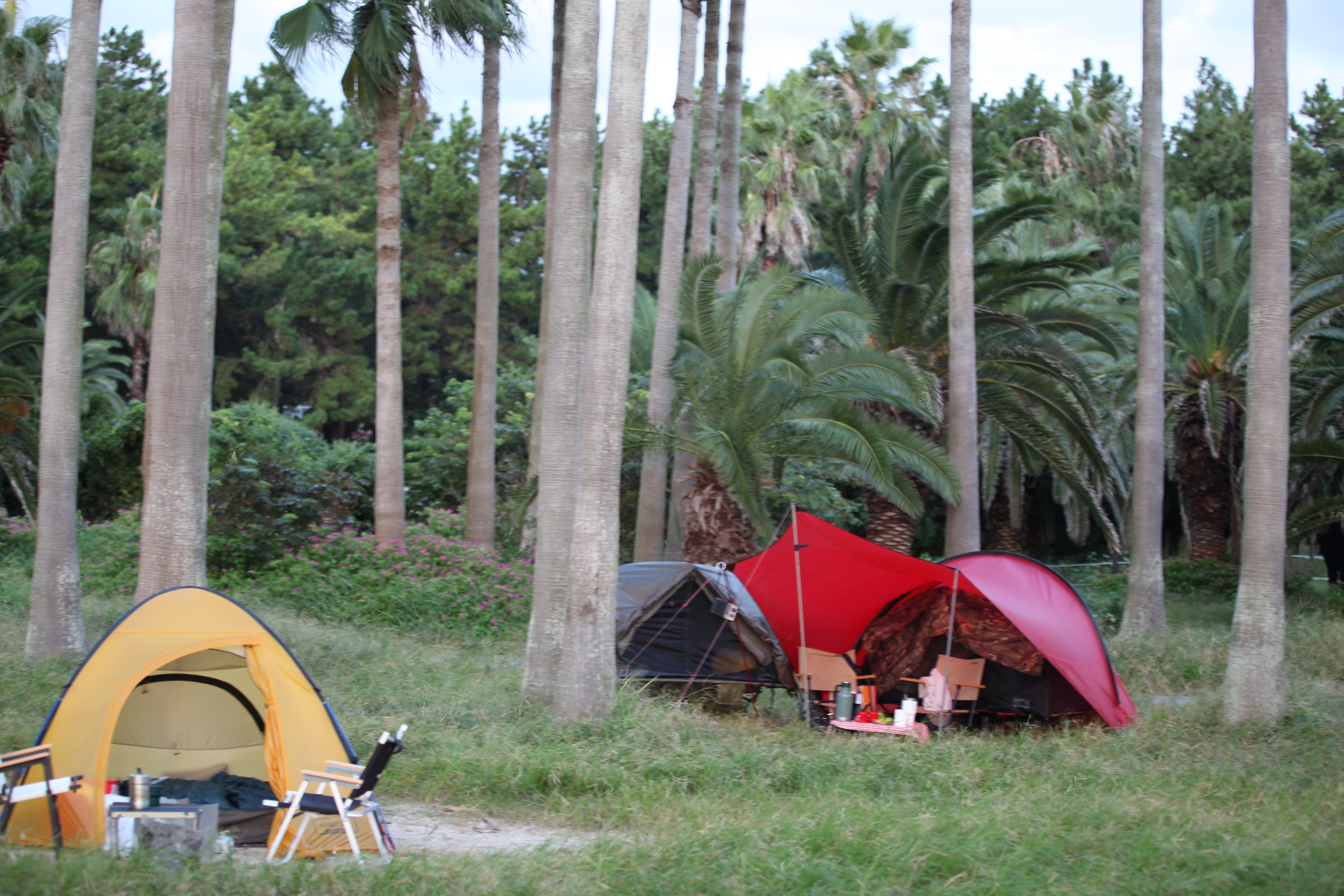 #캠핑체크리스트 #차박준비물 #백패킹체크리스트 #오토캠핑준비 #글램핑리스트 #여름캠핑 #캠핑준비도구 #캠핑초보 #2인캠핑 #캠핑팁 #캠핑장비리스트