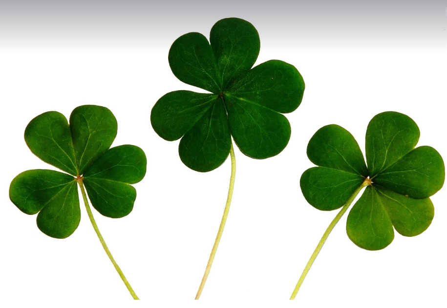 무재칠시-행운따르는법