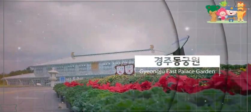 🌳 2026 경주 라원 디지털 가든 개장: 천년 고도에서 만나는 미디어 아트의 향연