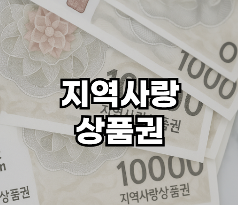 민생회복 소비쿠폰 지급 방식 3가지