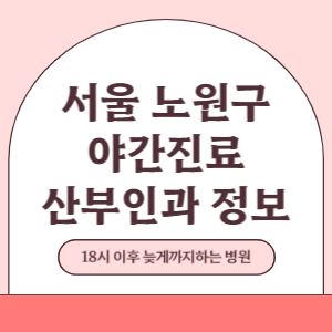 서울 노원구 야간진료 산부인과 병원 (18시 이후 늦게까지하는 병원)