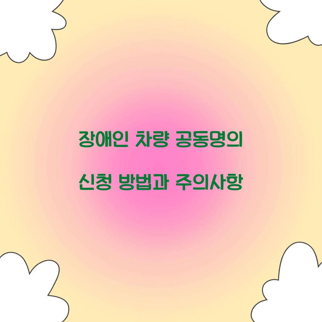 장애인 차량 공동명의