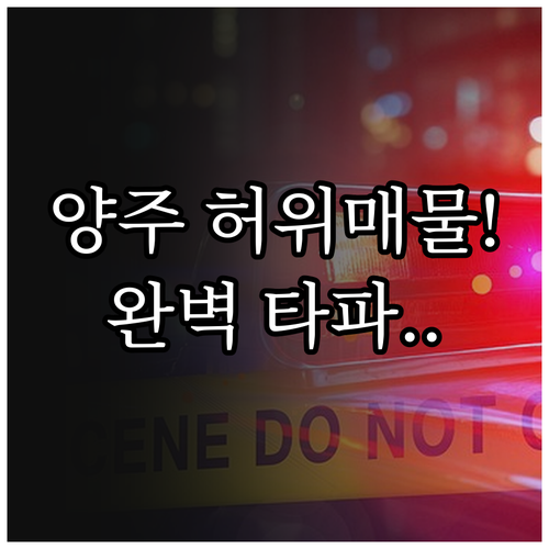 양주 지역 부동산 허위 매물 피하는 ..