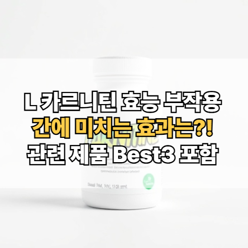 카르니틴-효능-부작용-간-효과-복용법-제품-추천