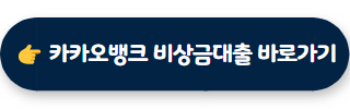 무직자 소액대출 카카오뱅크 비상금대출