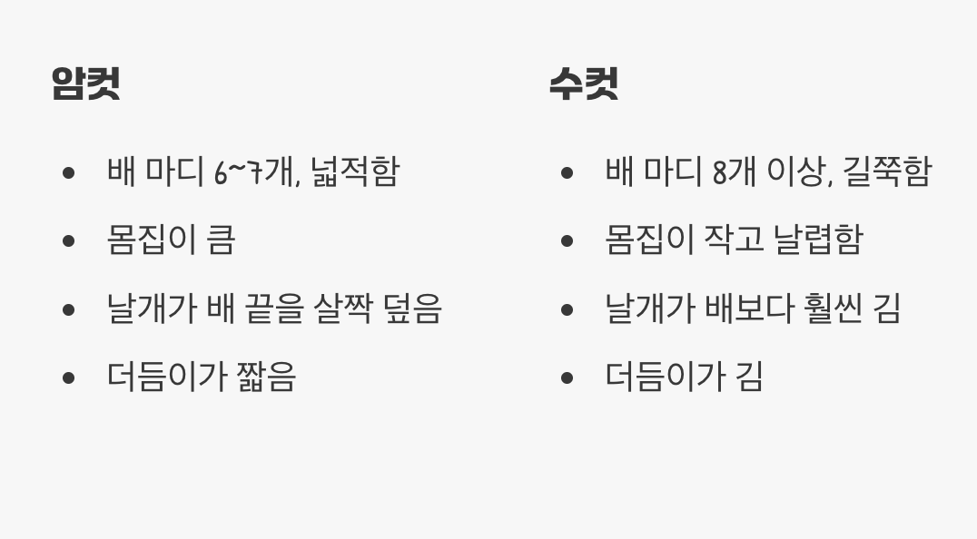 누가 암컷이고 누가 수컷일까?