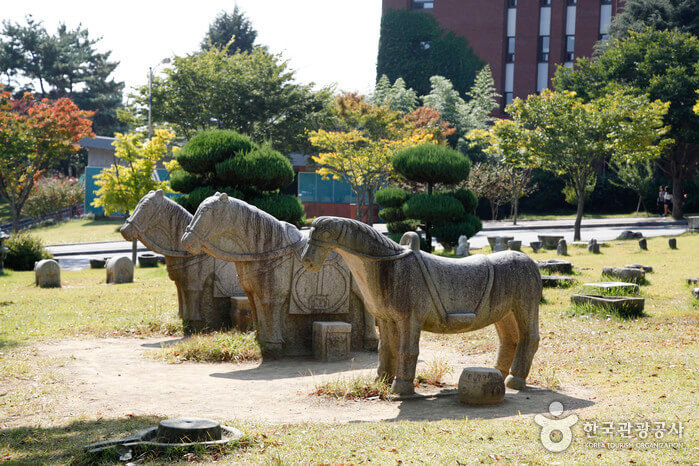 경산 가볼만한곳 베스트 10