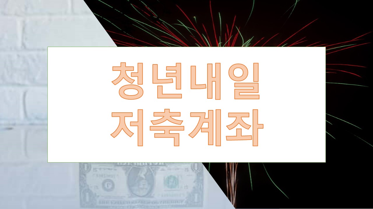 청년내일저축계좌 청년도약계좌 비교분석