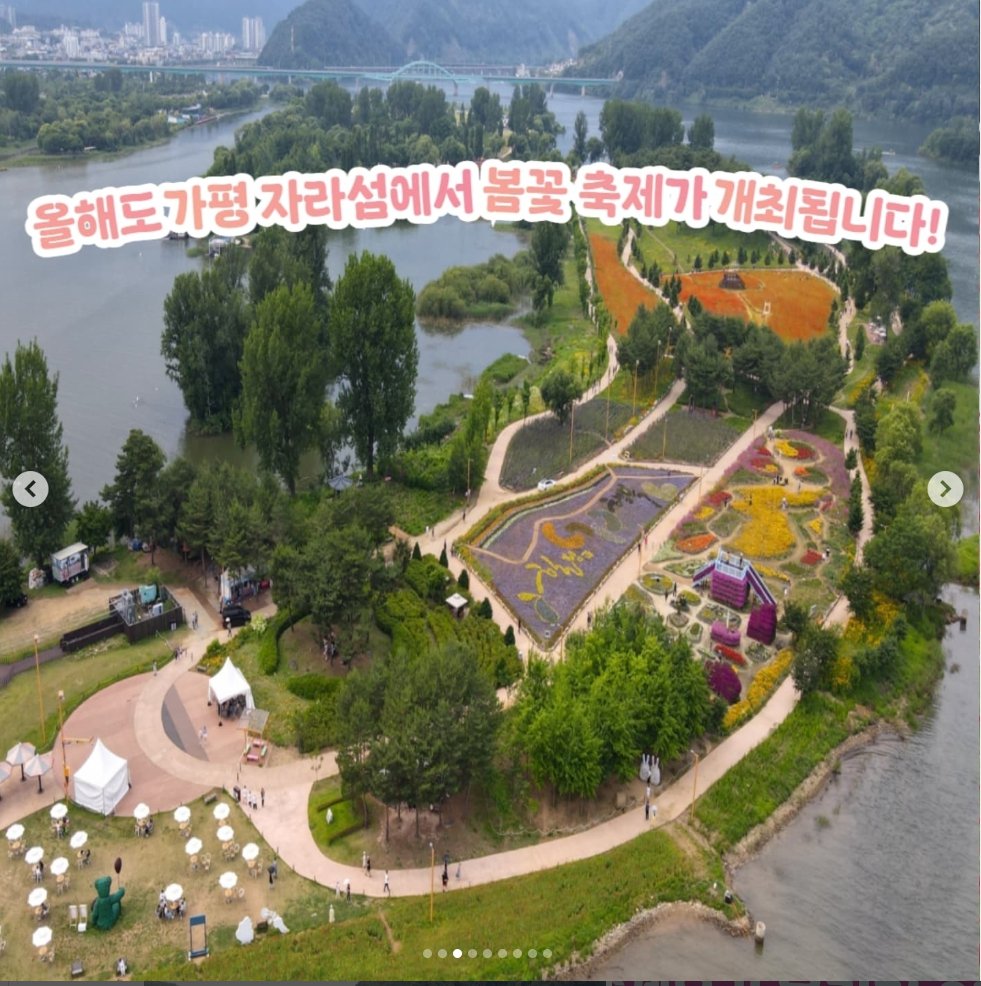 2025년 가평 자라섬 봄꽃 죽제 항공샷