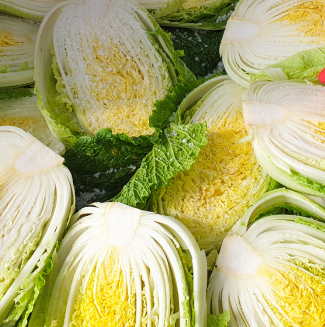 2024 절임배추 사전예약 가격비교 예약방법