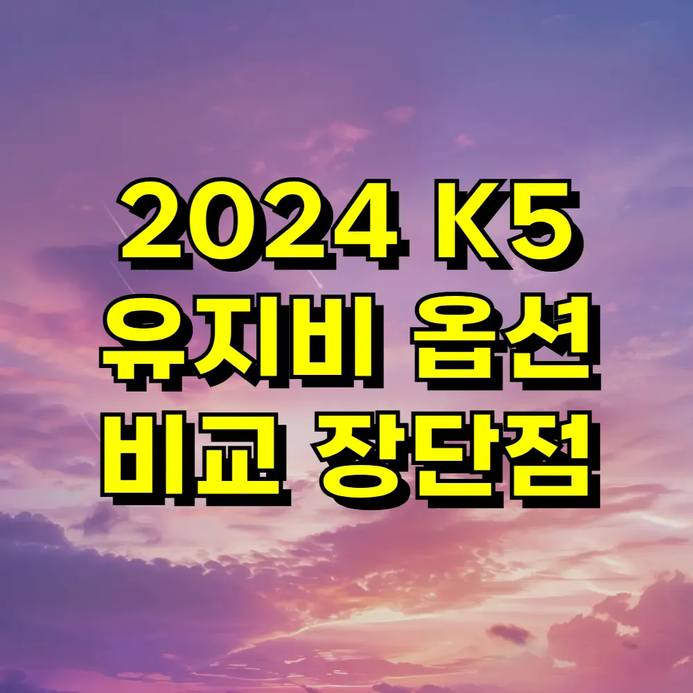 2024 K5 유지비 옵션 비교 장단점