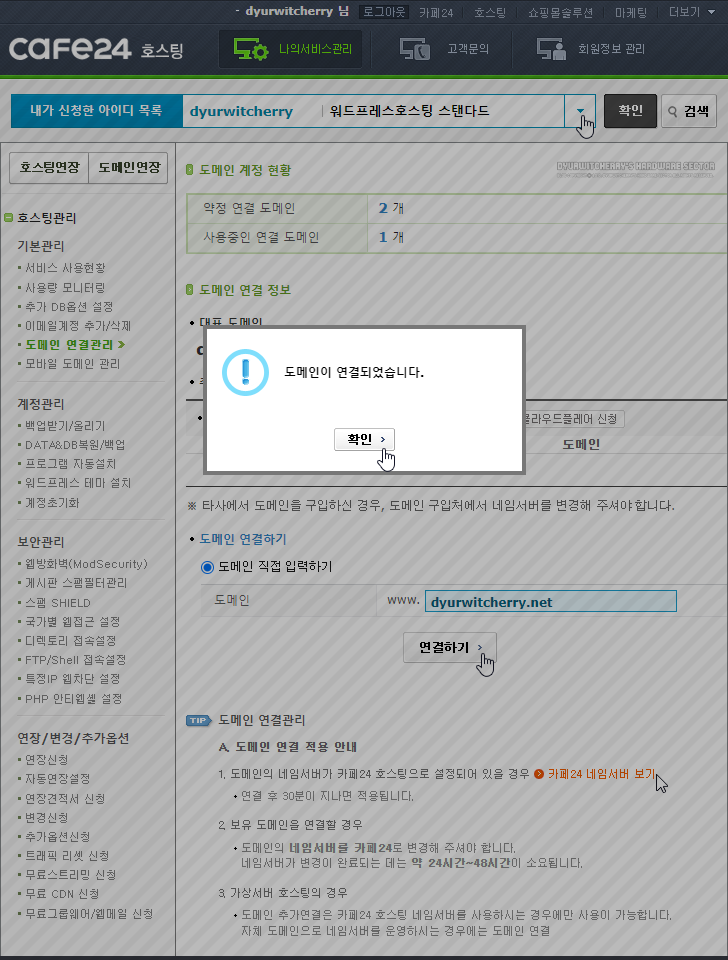 도메인이 연결되었습니다