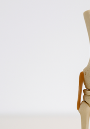 퇴행성 관절염 완치하는 최고의 비법