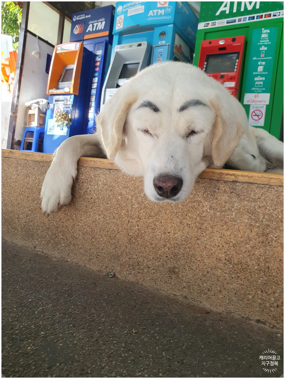 왓 프라탓 도이 수텝