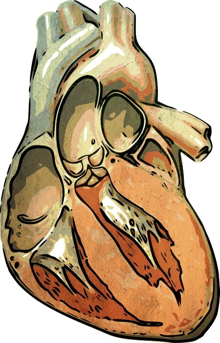 심장을-표현한-그림