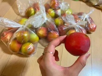 자두 보관법 수확시기 효능 자두청 만들기_11