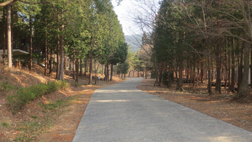 남해여행 가볼만한 곳 베스트10_ 08. 남해 편백자연휴양림