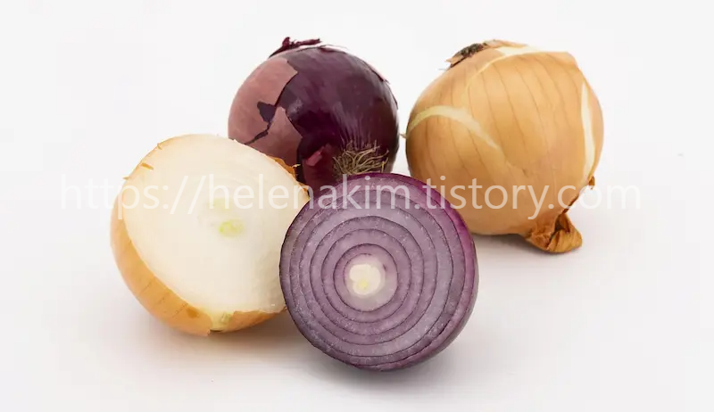 적색 양파와 흰양파