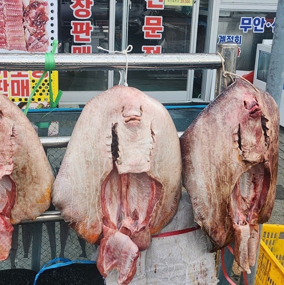 한국기행-홍어삼합-목포-삼합열전-