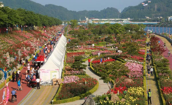 2025 삼척 장미공원 장미축제 일정 주차 볼거리_4