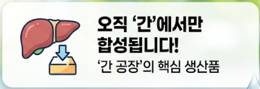 알부민 효능