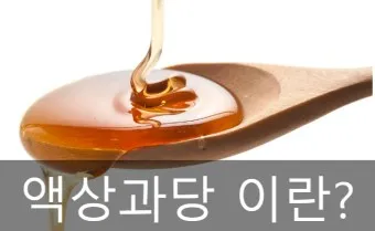 액상과당 종류 특성 유해성 판단_2