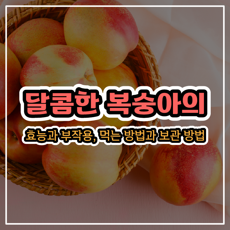 달콤한 복숭아의 효능과 부작용, 먹는 방법과 보관 방법