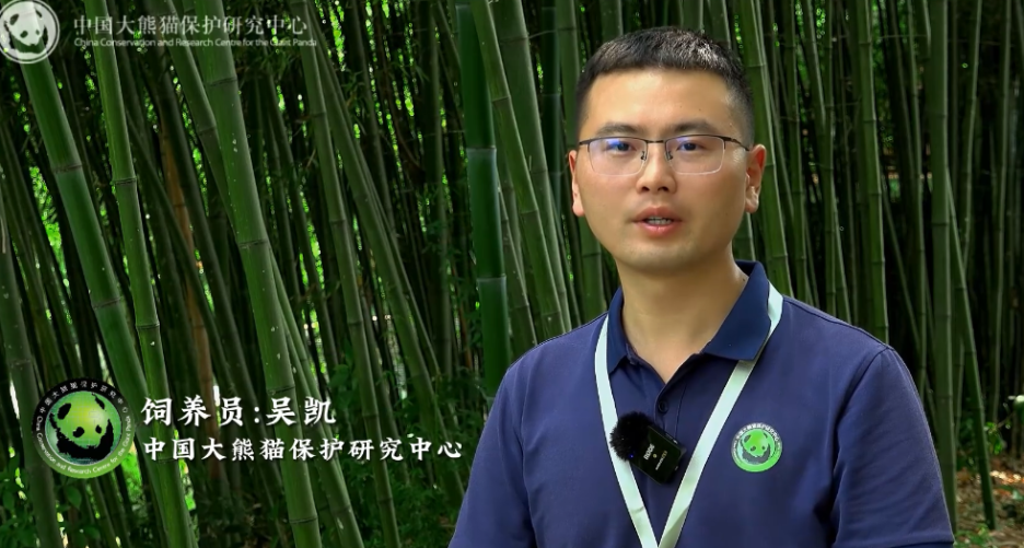 푸바오 중국 사육사 우카이