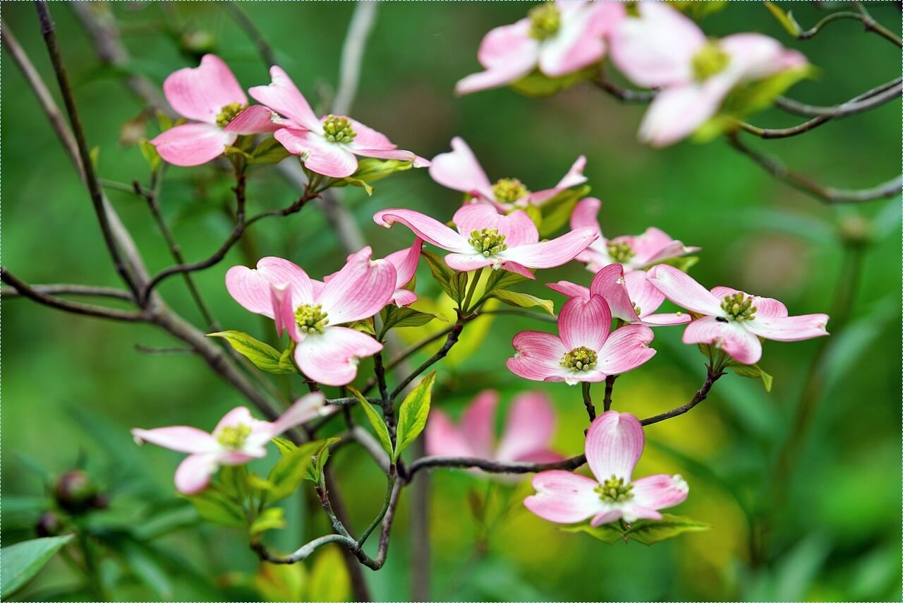적금 이율 높은 은행