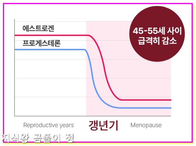 갱년기 관절통 수면장애 줄이는 하루 5단계 루틴 공개4