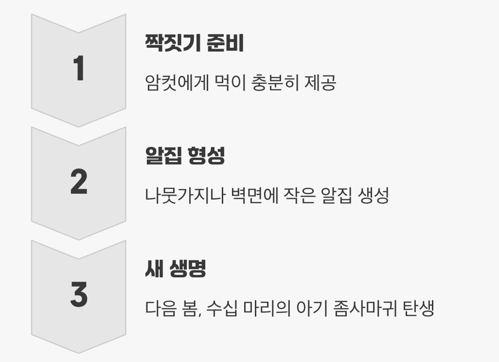 마지막 사명, 짝짓기와 알집