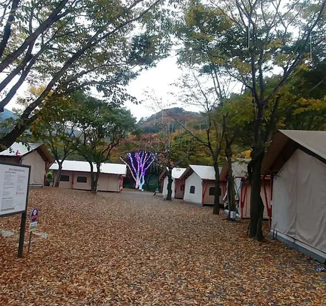 초원숲속글램핑