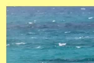 시흥 웨이브파크