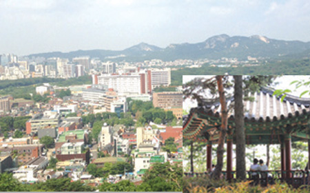 가을 축제 : 가을 여행