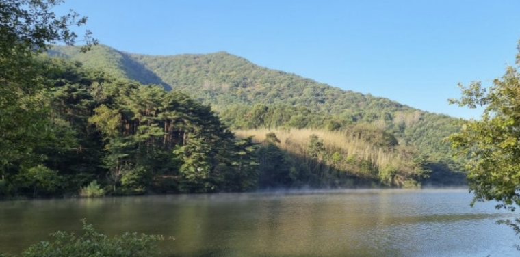 비학산자연휴양림 2