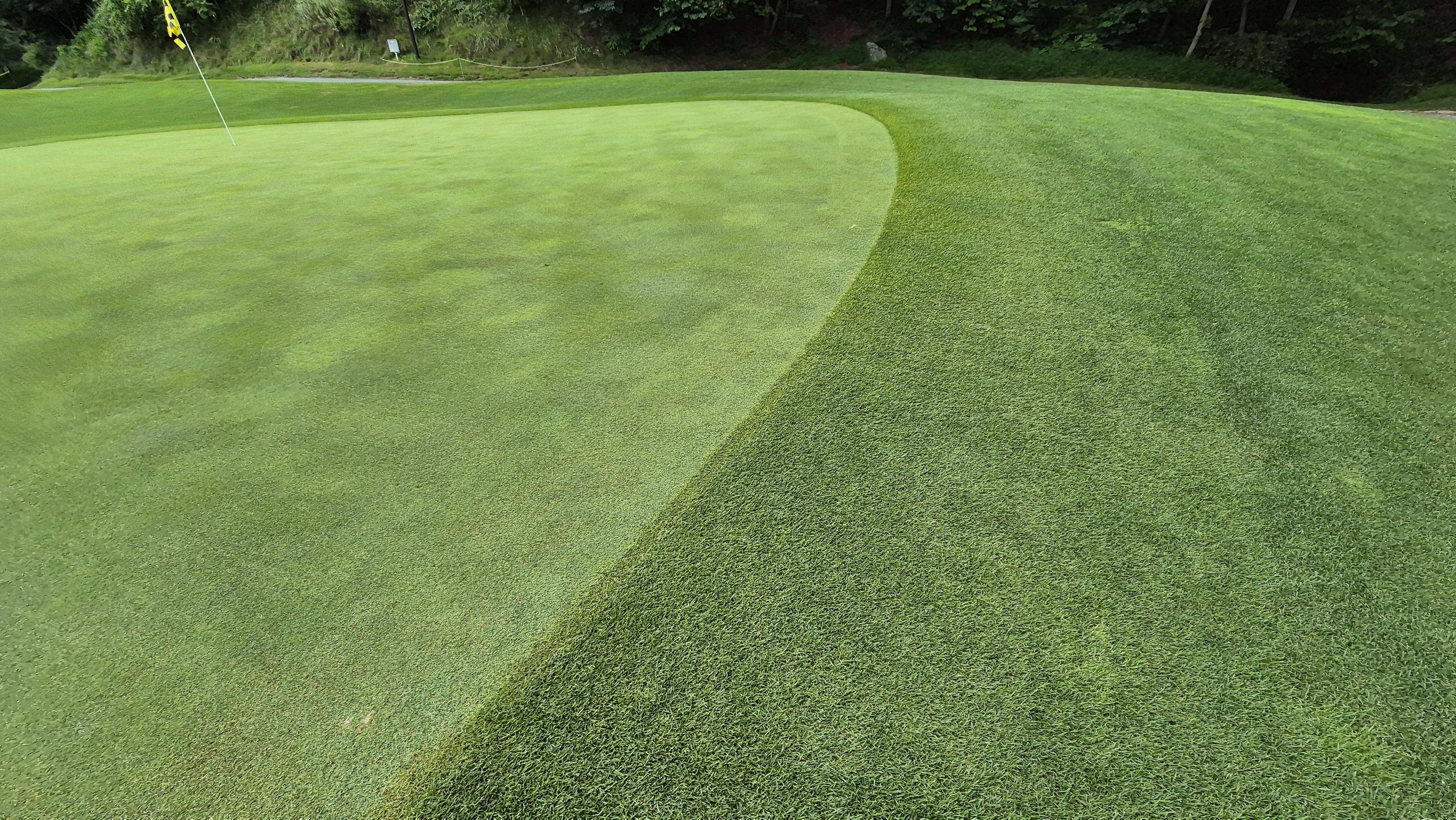 센테리움cc 스코틀랜드-웨일즈 코스 라운드 후기