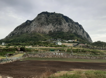 제주도 여행코스 2박3일